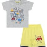 Baby Boy Round Neck and Shorts Set 18-24 Months Ash