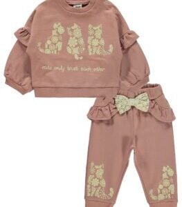Dusted Rose Polo Sweatshirt & Trouser Set 9-12months