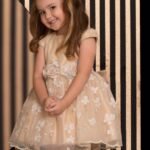 Flowery Net Gold Party Dress