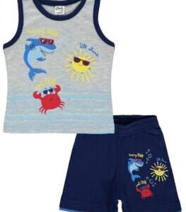 Baby Boy Shorts Set 12-18 Months Ash