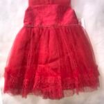 Chanti Lace Net Party Dress