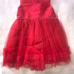 chanti_lace_net_party_dress