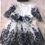 Organza Flower Girl's Party Dress