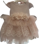 Little Princess Pink Lace Net Party Dress