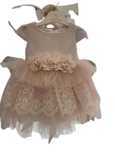 Little Princess Pink Lace Net Party Dress